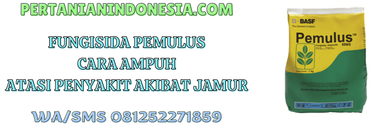 fungisida,pemulus,pemulus 80 wg,basf,pemulus basf,pertanian indonesia